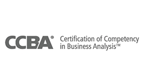 CCBA Online Training 
